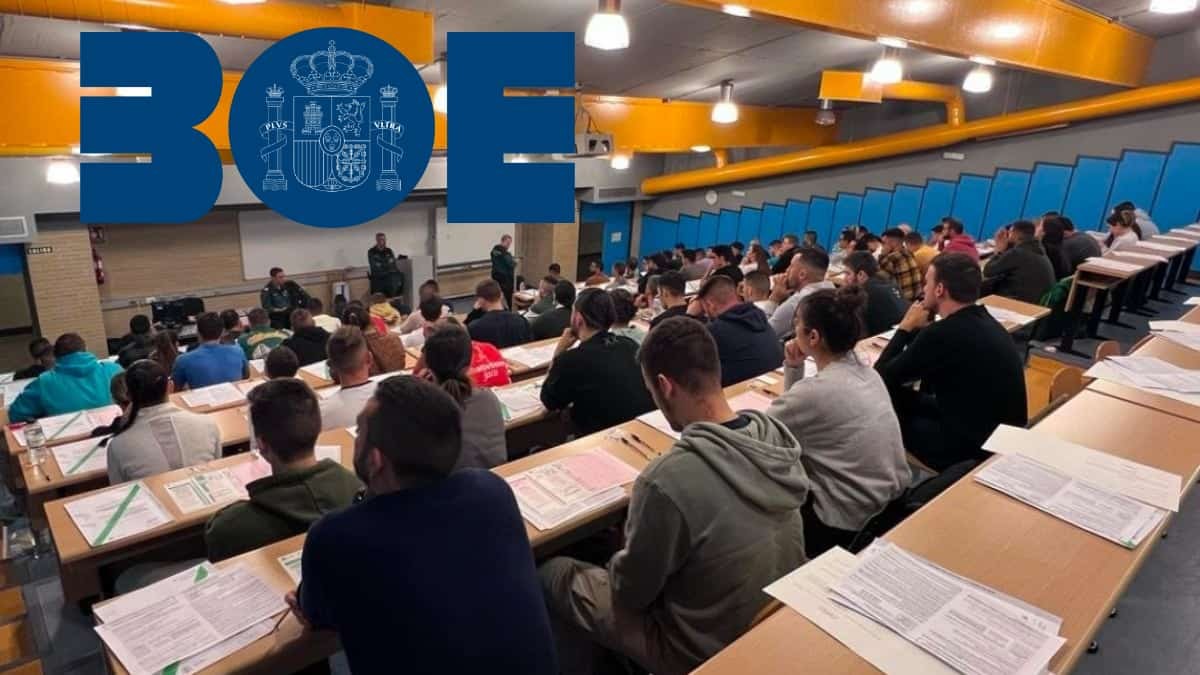 De BOE publiceert de eerste 500 opposities voor januari 2025: 16.152 plaatsen