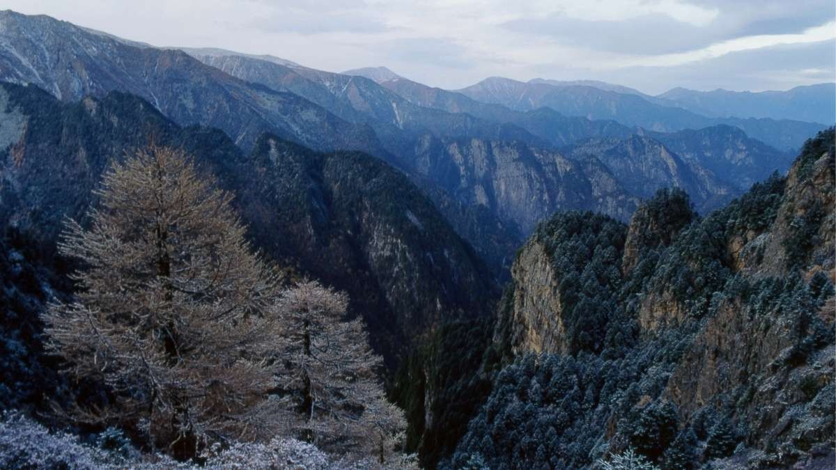 Een bedrijf verplaatst zijn hoofdkantoor naar de bergen om zijn werknemers tot ontslag te dwingen