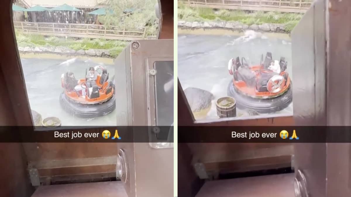 Een werknemer laat zien wat de beste baan ter wereld is: de 1,9 miljoen likes steunen hem