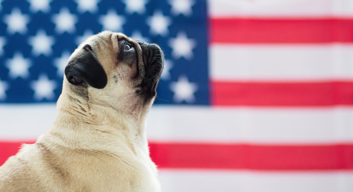 10 Amerikaanse bedrijven die nu in Ierland aannemen