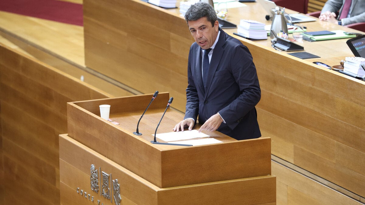 Valenciaanse handelaren die door de Dana zijn getroffen, kunnen al nieuwe hulp aanvragen