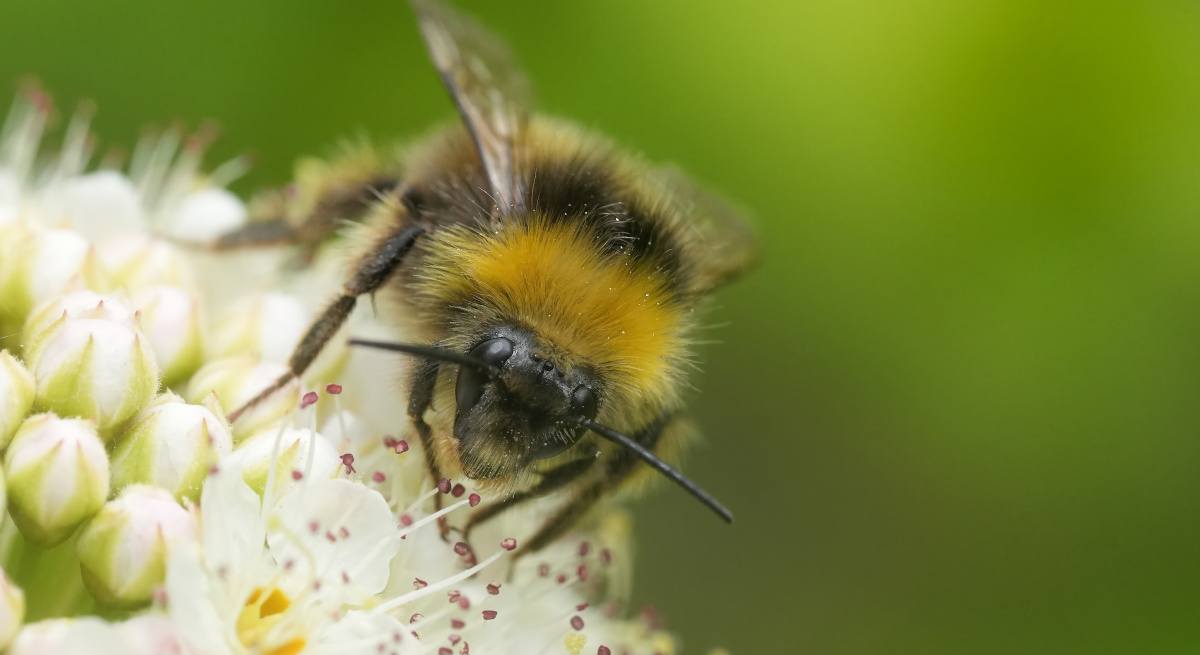 Hoe om te gaan met bedrijfsjargon