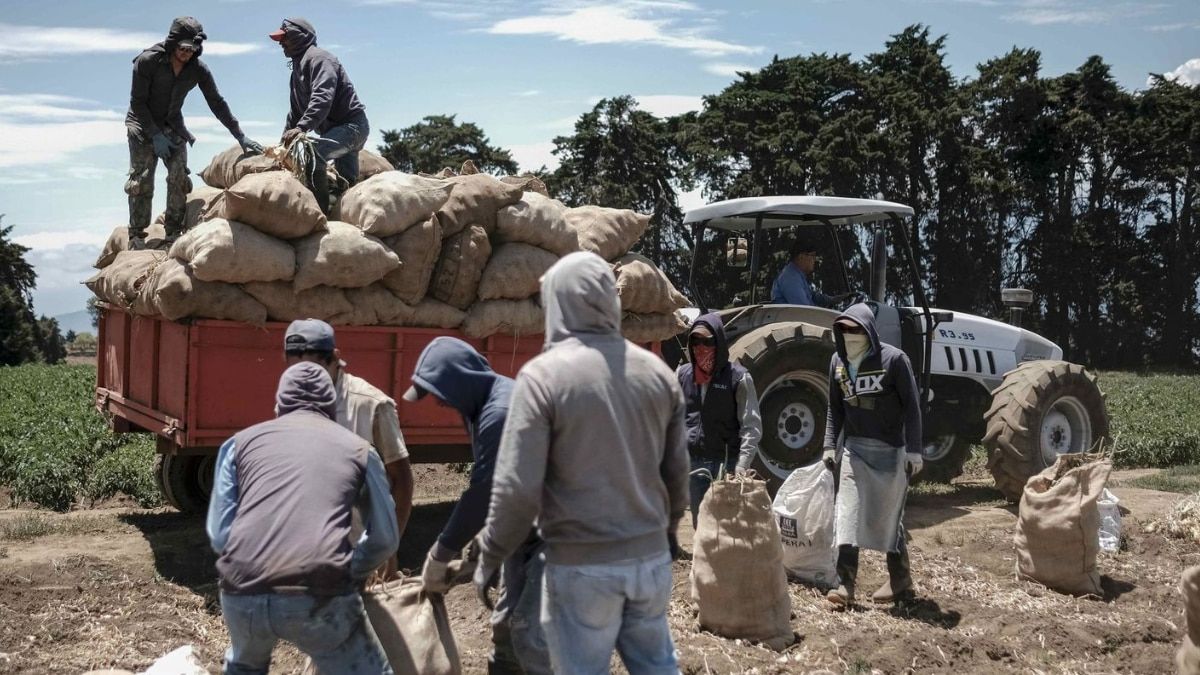 Vier van de tien citaten in Spanje zijn buitenlanders: wat doen ze en waar komen de meer dan drie miljoen immigranten vandaan?