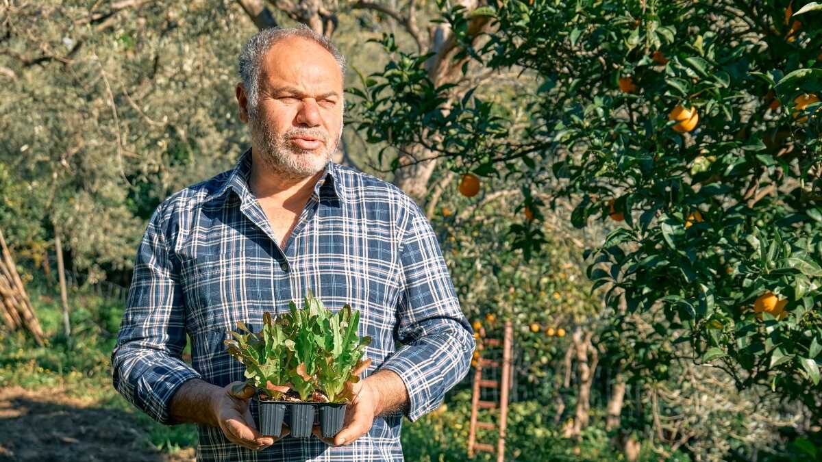 Een nieuwe zin zal meer gepensioneerden in staat stellen om te werken als zelfstandige zonder bijdragen te betalen