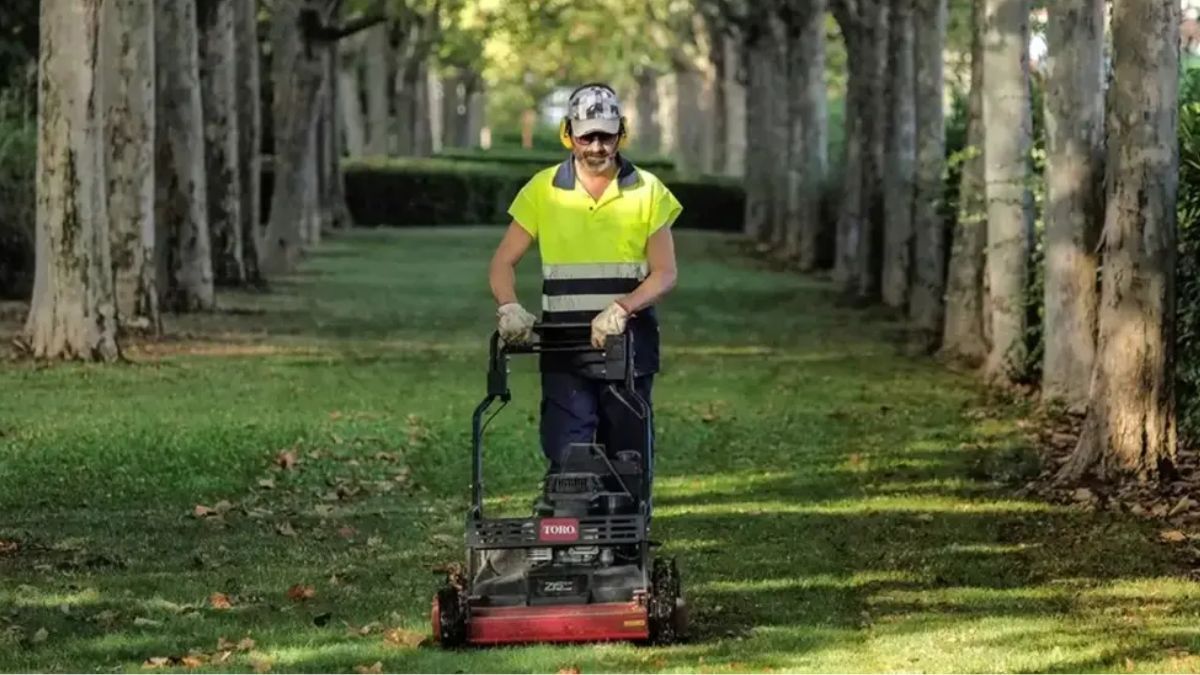 Een gemeentelijke tuinman uit Torrevieja vraagt ​​om telewerken en dit is het antwoord van de gemeenteraad