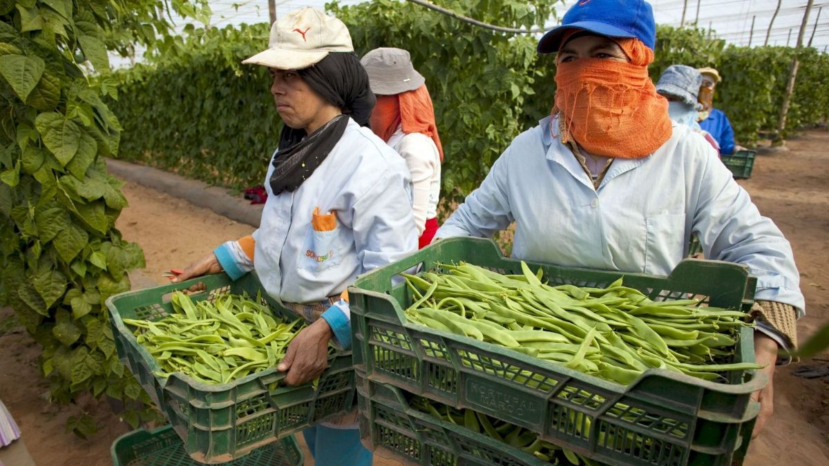 Europa keurt de oprichting goed van een banenbank om migranten uit hun land van herkomst aan te nemen