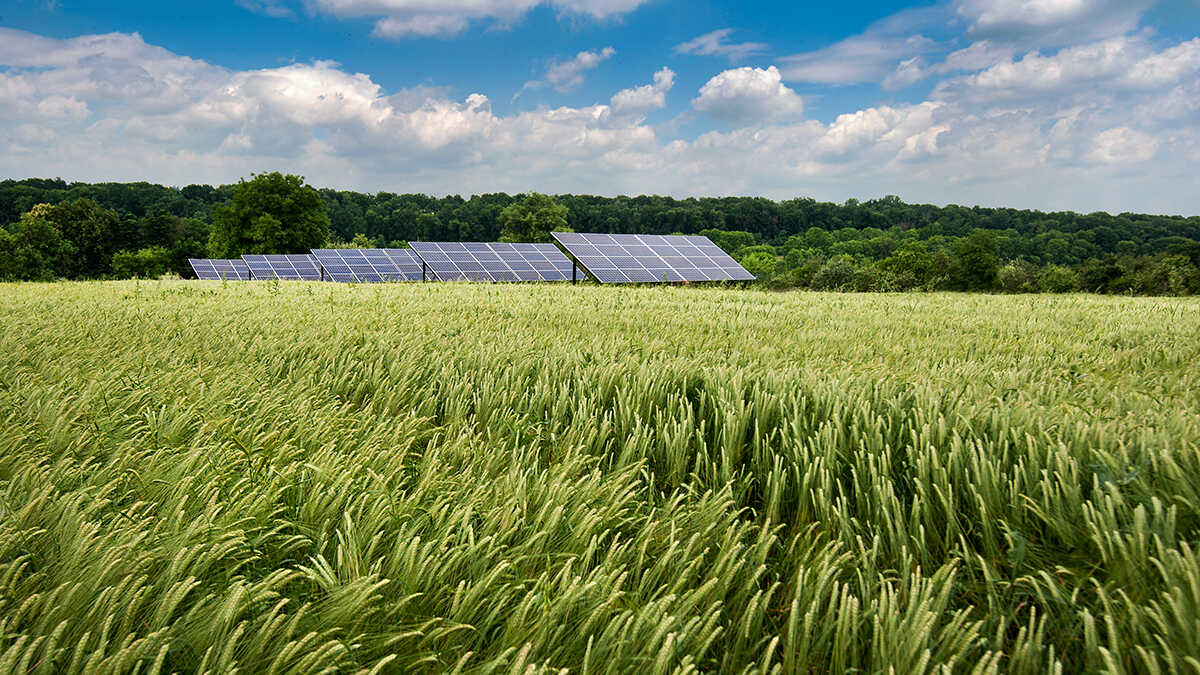 Zelfstandigen op het platteland kunnen inkomen vergroten en hulp krijgen door zonnepanelen op hun akkers te plaatsen