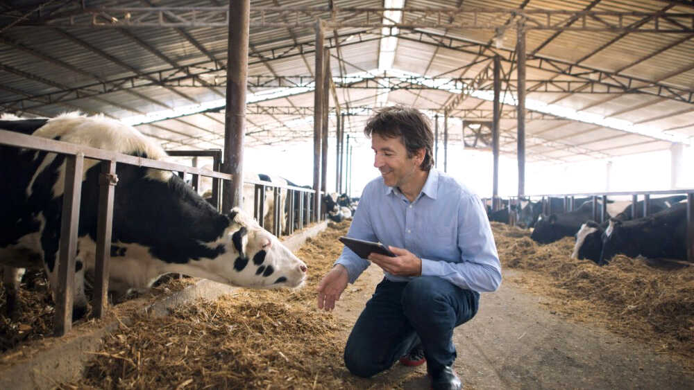 De +50 Emprende Awards versterken hun steun voor duurzame bedrijven geleid door senioren