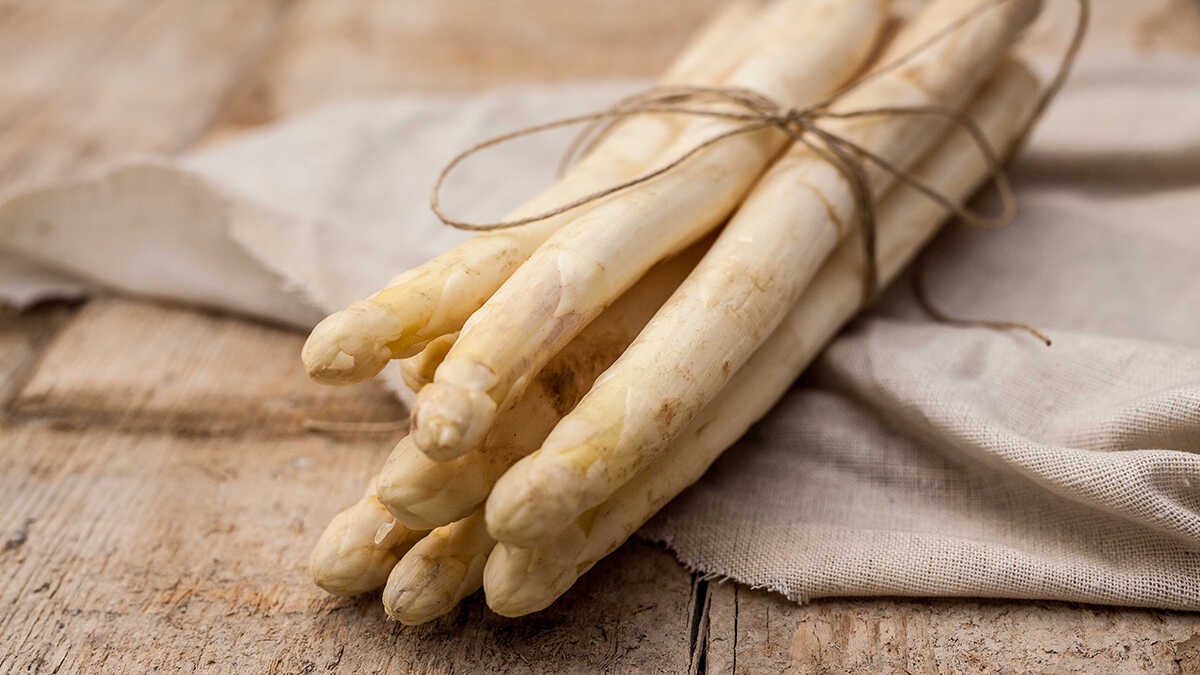 Navarra moderniseert zijn agrifoodsector met 12,6 miljoen euro voor het industriële MKB