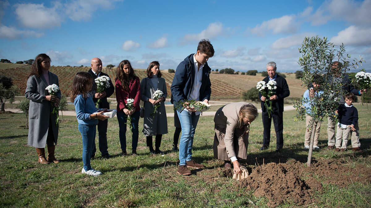 1. Begrafenis van as in een kopie van de stamboom