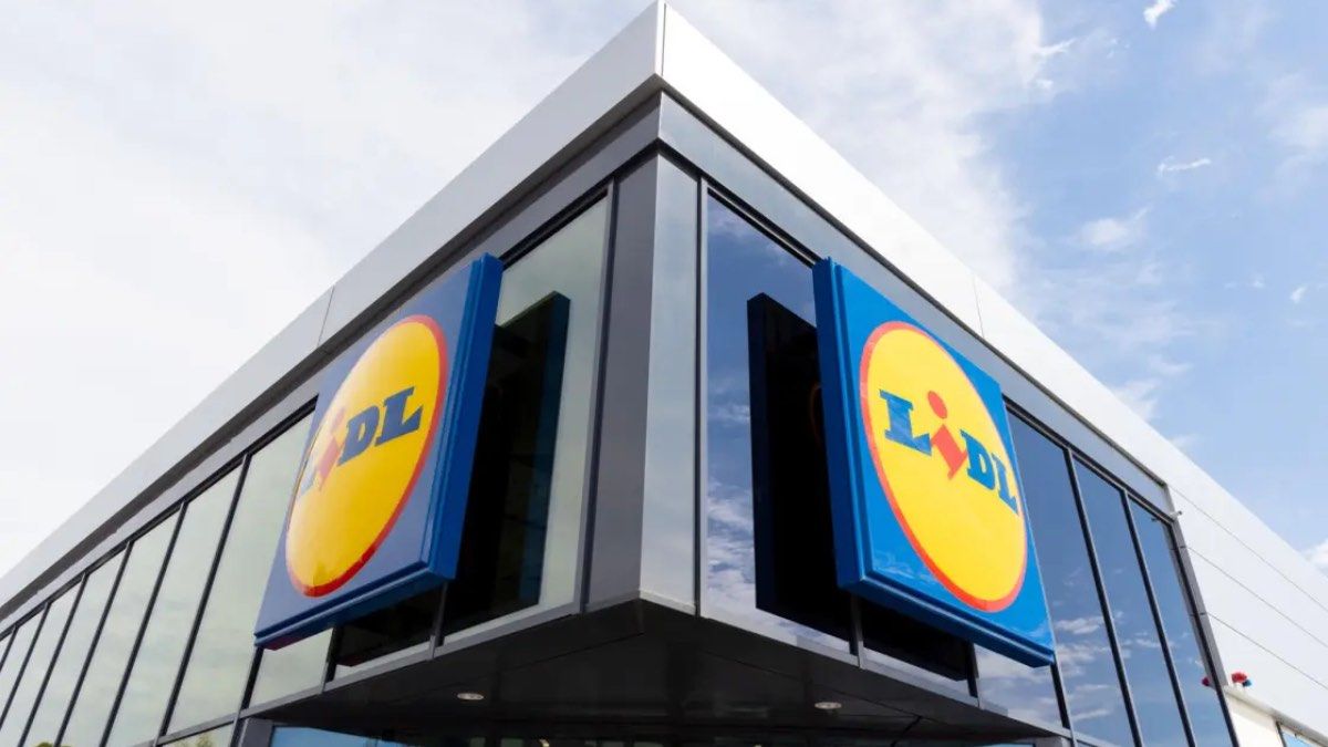 Een Lidl-medewerker wordt ontslagen omdat hij twee pakjes aardbeien van 5,98 euro probeerde af te nemen zonder te betalen: "Het is de eerste keer"