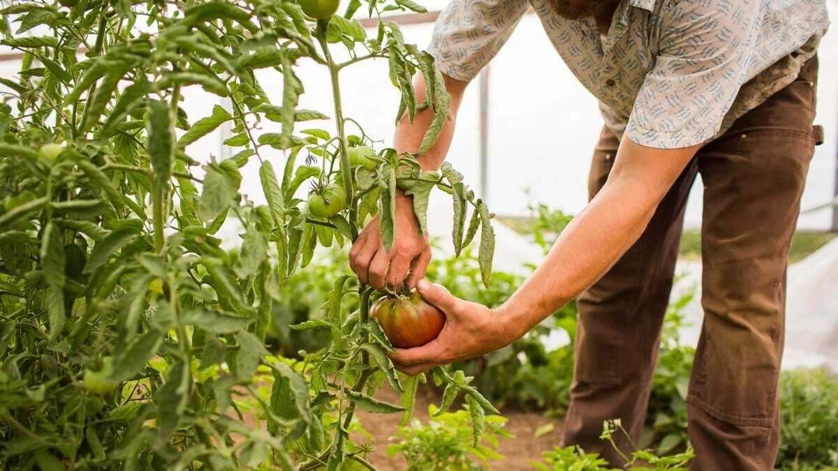 Nieuwe steun in Aragon voor jonge boeren en modernisering van het agrarische MKB