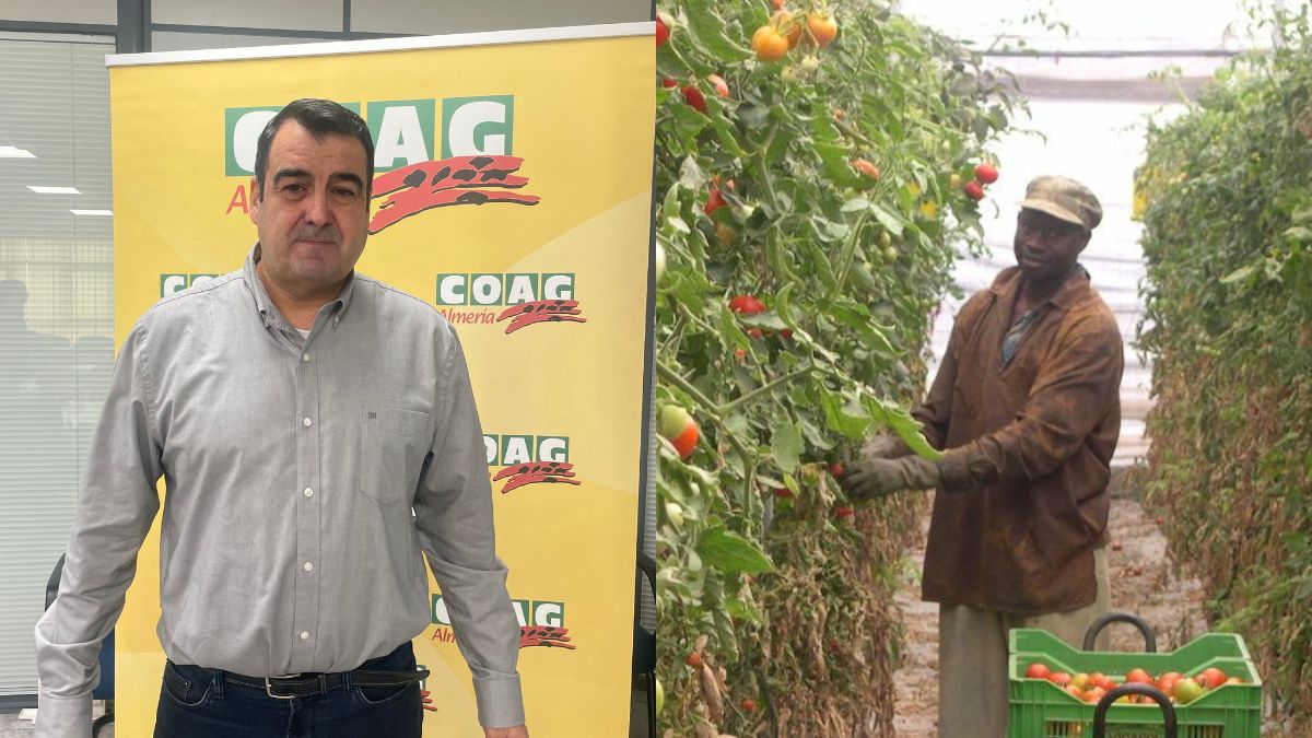 Boeren eisen dat de regularisatie van migranten wordt aangepast aan de realiteit van het platteland: “De boetes voor het in dienst nemen zonder papieren kunnen oplopen tot 60.000 euro”