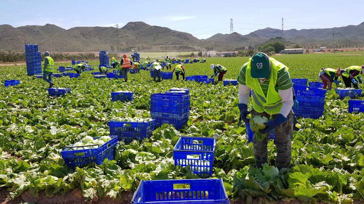 De sociale zekerheid heeft sinds 2018 ruim 200.000 leden op het platteland en thuis verloren