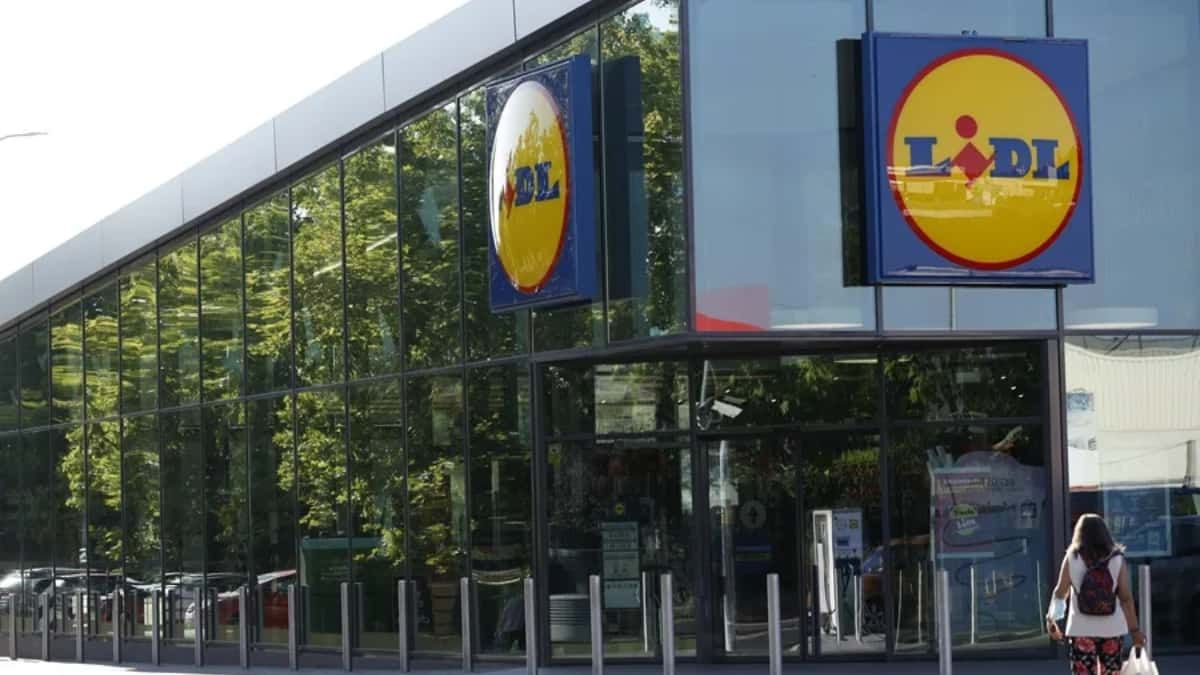 Lidl stelt de redenen vast waarom zij haar medewerkers kan sanctioneren of ontslaan