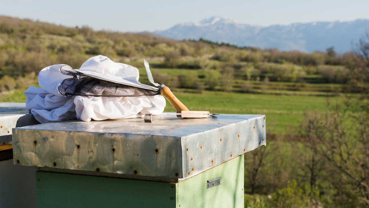 MKB-bedrijven op het platteland van Extremadura waarschuwen dat de hulp voor de storm een ​​deel van de sector buiten beschouwing laat