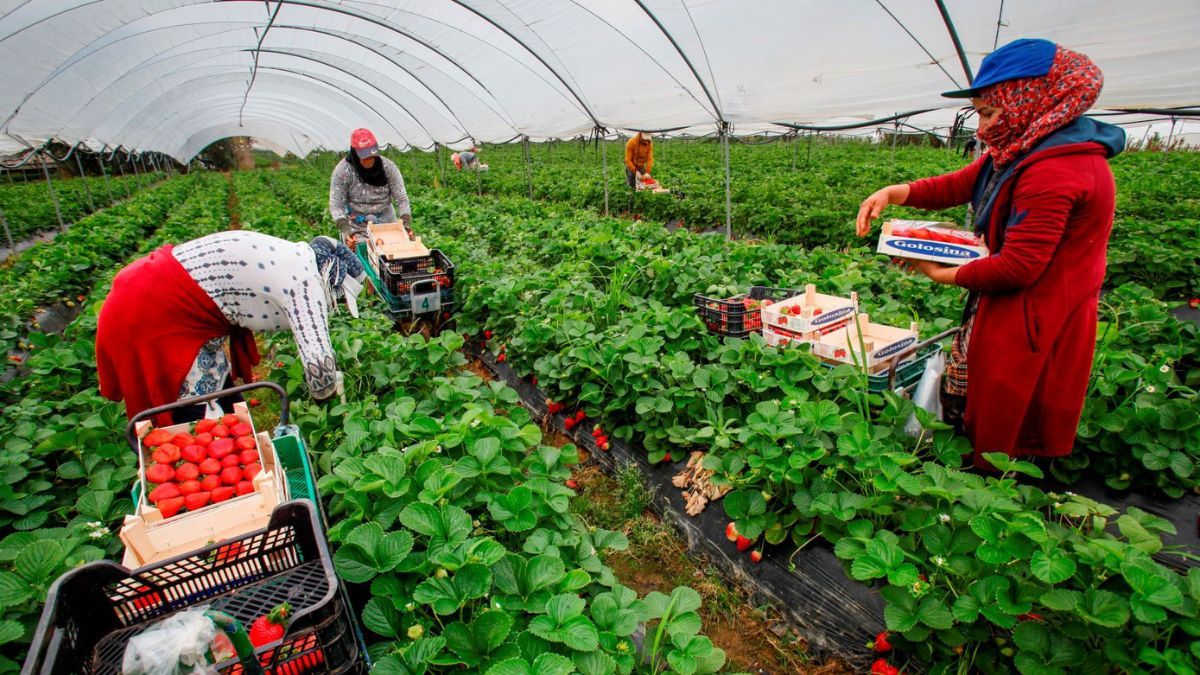 Ramadan in Spanje: welke rechten hebben moslimarbeiders om vroegtijdig het werk te verlaten?