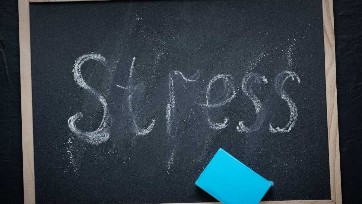 ondernemers registreren 53% meer cortisol