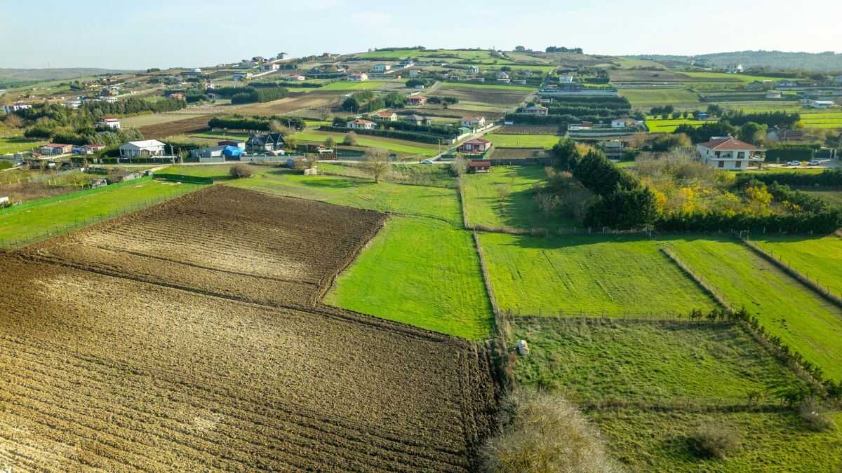 Rondreizende freelancers brengen kappers-, gezondheids- en andere diensten naar het lege Spanje