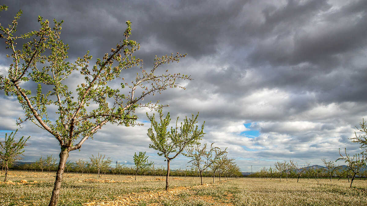 Zelfstandigen op het platteland hebben slechts drie weken de tijd om de steun voor de stormen te valideren en in te zamelen