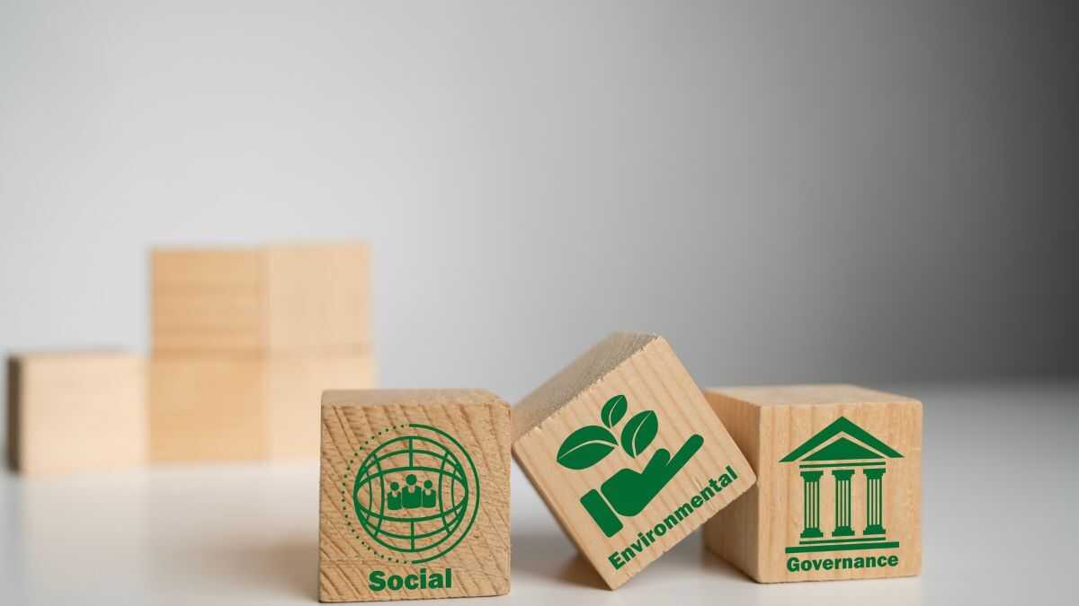 De nieuwe wet op de sociale economie maakt het voor kmo's in deze sector gemakkelijker om toegang te krijgen tot meer overheidsopdrachten