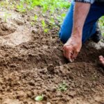 De deadline voor het Andalusische MKB en zelfstandigen is open om steun voor de stormen aan te vragen