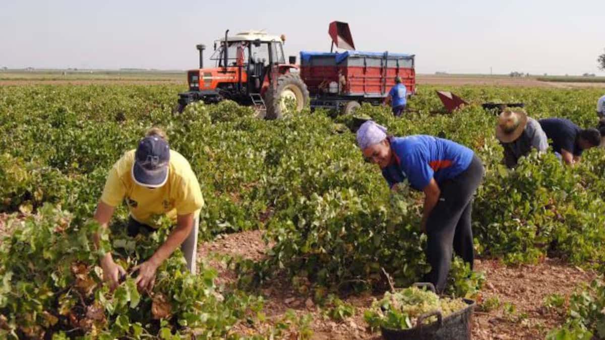 Een boer krijgt een boete van 1.440 euro omdat hij seizoenarbeiders uitbuit nadat hij hen voorwaarden heeft geboden waaraan hij nooit heeft voldaan