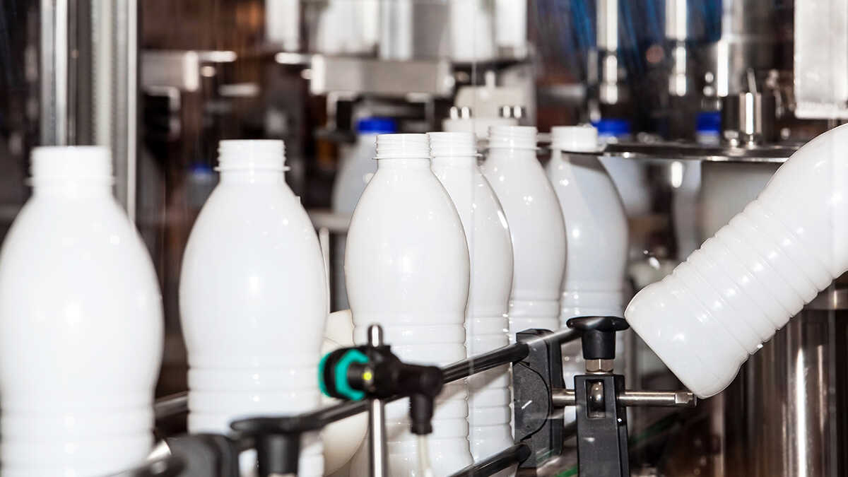 Zelfstandige melkveehouders hekelen een gedwongen prijsverlaging die duizenden boerderijen dreigt te sluiten