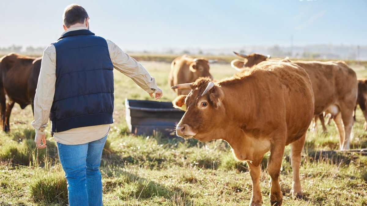 Het ministerie van Financiën publiceert nieuwe inkomensverlagingen, maar veel zelfstandigen zouden hun aangifte moeten corrigeren