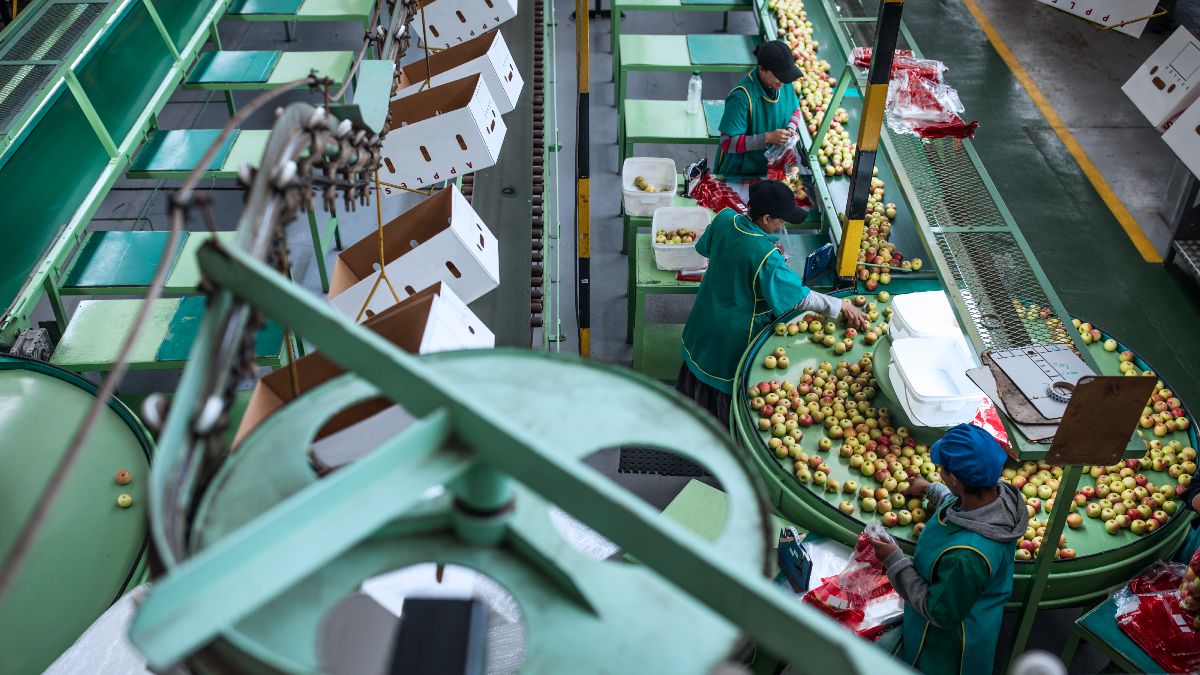 In Murcia zijn dringend 150 productiearbeiders nodig om in de voedingssector te werken