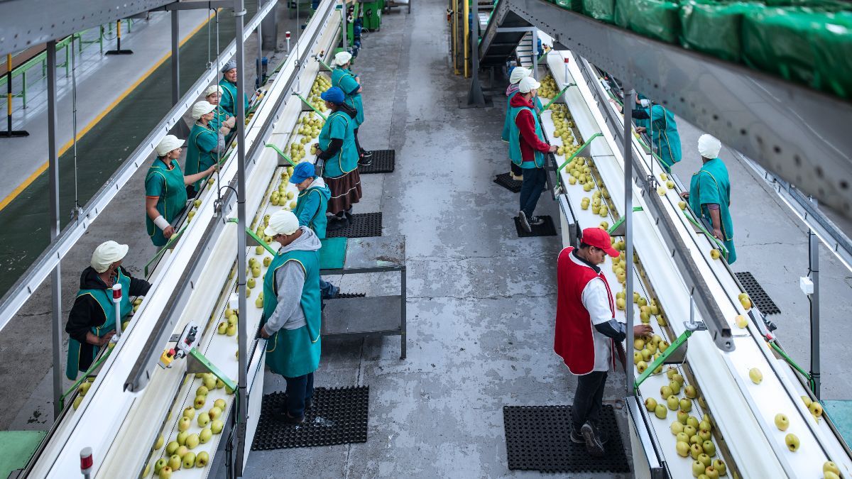 Ontslagen wegens ruzie op het werk: ze duwde haar collega en eindigde met een snijwond in haar gezicht door een scherpe lepel
