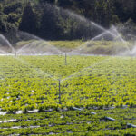 De zelfstandigen op het platteland vrezen dat de regering duizenden boeren en agrarische MKB-bedrijven zonder water zal laten zitten
