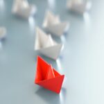 Leiderschapsoplossing of managementrage?