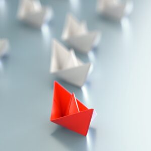 Leiderschapsoplossing of managementrage?