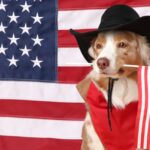 10 Amerikaanse bedrijven zijn op 4 juli actief aan het werven in Ierland