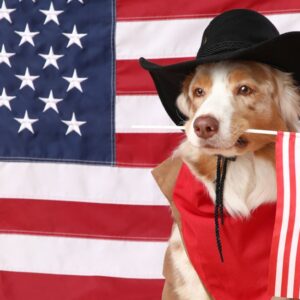 10 Amerikaanse bedrijven zijn op 4 juli actief aan het werven in Ierland