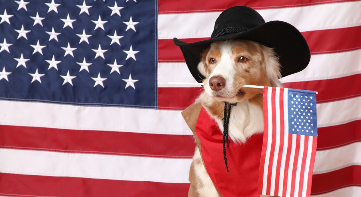 10 Amerikaanse bedrijven zijn op 4 juli actief aan het werven in Ierland