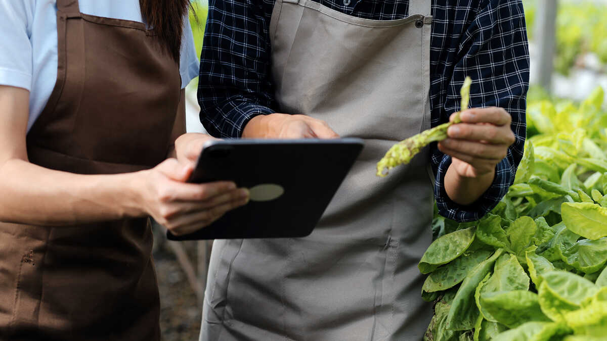 MKB-bedrijven in de agrifoodsector in Castilla y León kunnen tot 105.000 euro ontvangen voor verzekeringen en online verkoop