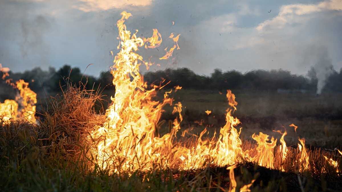 Gemeenschap van Madrid lanceert gratis hulp en garanties voor zelfstandigen en kleine en middelgrote bedrijven die door de branden zijn getroffen