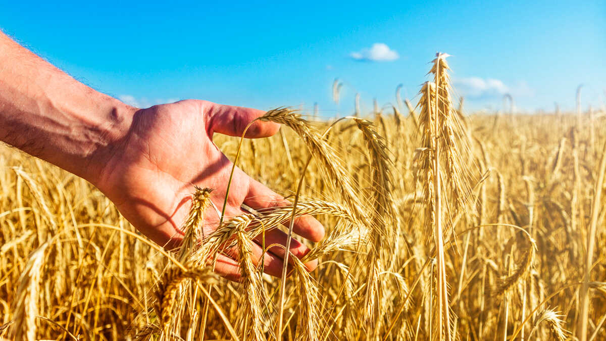 Castilla y León opent het proces voor zelfstandige boeren om tot 25.000 euro op te halen voor branden