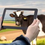 Technologie verovert het platteland: boeren zijn toonaangevend in het gebruik van sensoren om hun bedrijven te monitoren