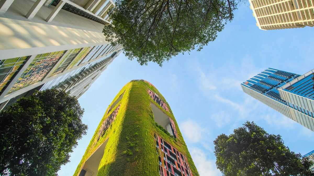 Europa maakt een einde aan de ‘groene bureaucratie’ die zelfstandigen en kleine en middelgrote bedrijven verstikt tegenover grote bedrijven