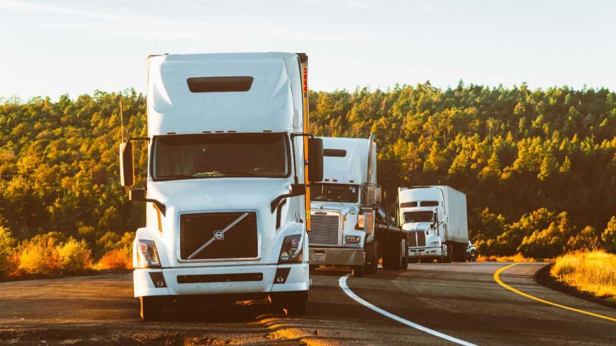 Transporteurs vragen om nieuwe steun die echt bedoeld is voor zelfstandigen en niet voor grote oliemaatschappijen