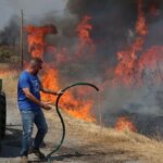Zelfstandigen in de landbouw hebben anderhalve maand de tijd om schade aan te geven vanwege branden in Castilla y León