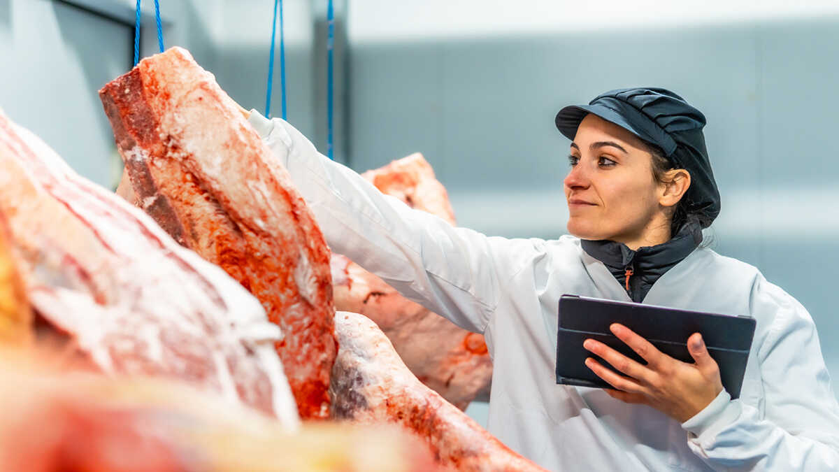 Zelfstandigen en kmo’s uit de agrovoedingssector in Aragon kunnen tot een miljoen euro aanvragen om machines te kopen