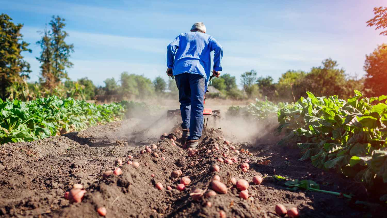 Het ministerie van Financiën wil de korting van 5% voor zelfstandigen in modules en andere kortingen voor het platteland behouden